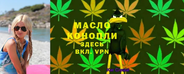 ПСИЛОЦИБИНОВЫЕ ГРИБЫ Богданович