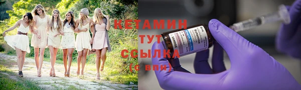 ПСИЛОЦИБИНОВЫЕ ГРИБЫ Богданович