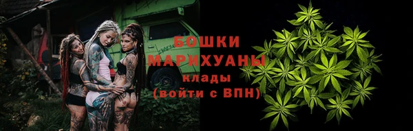 spice Богородск