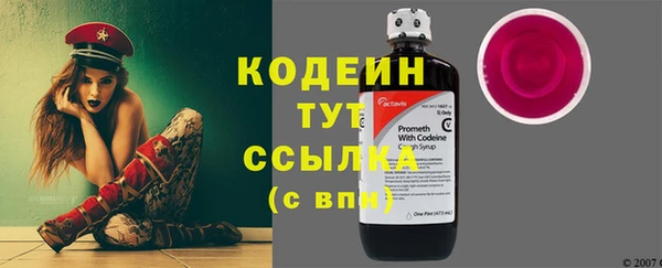 spice Богородск
