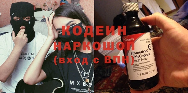 ПСИЛОЦИБИНОВЫЕ ГРИБЫ Богданович