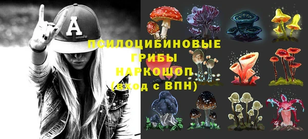 ПСИЛОЦИБИНОВЫЕ ГРИБЫ Богданович