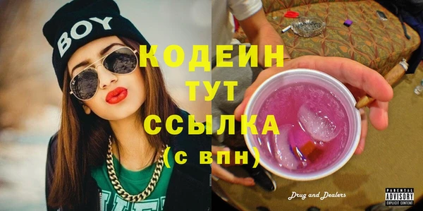 spice Богородск